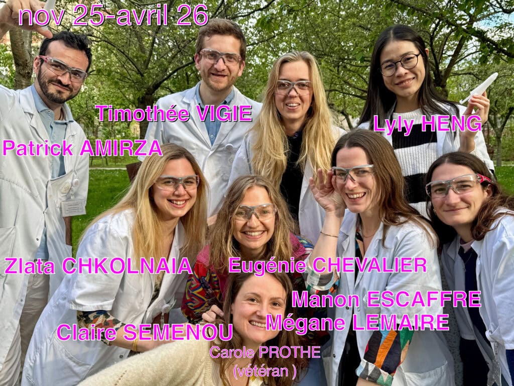 2025 Novembre