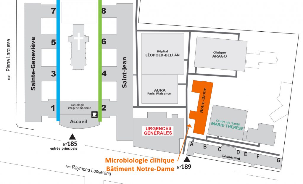 Microbiologie clinique 1 Plan juin microbio