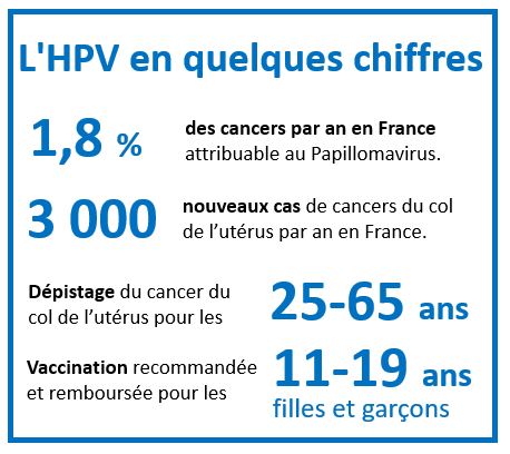 Centre du papillomavirus (HPV) 1 hpv