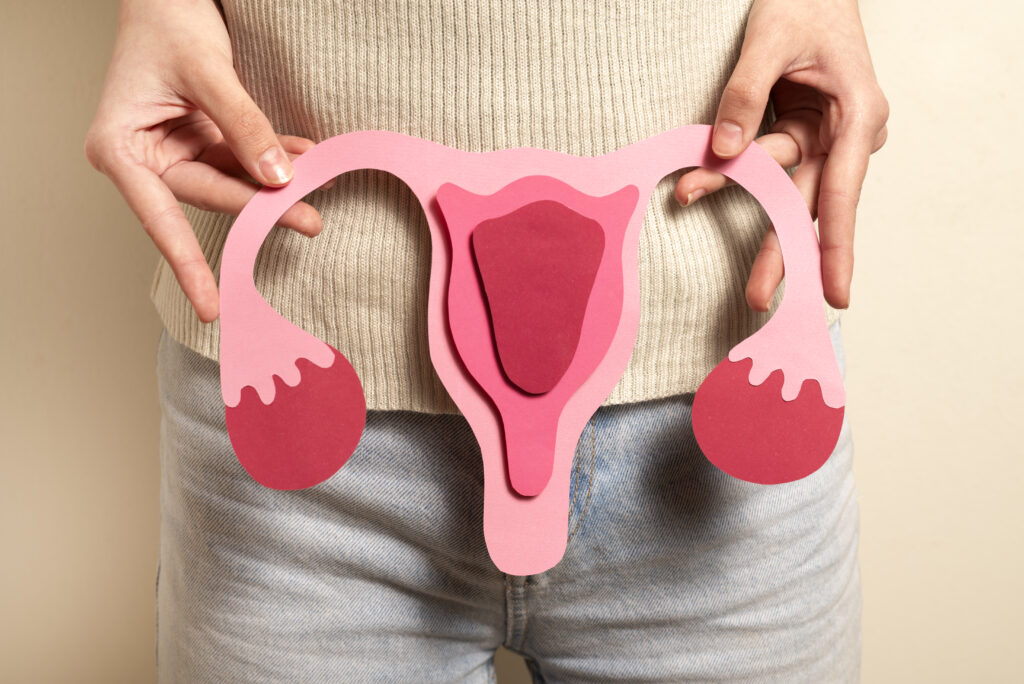 Journée européenne de sensibilisation sur le SOPK 1 femme tenue systeme reproducteur vue frontale 1024x684 1